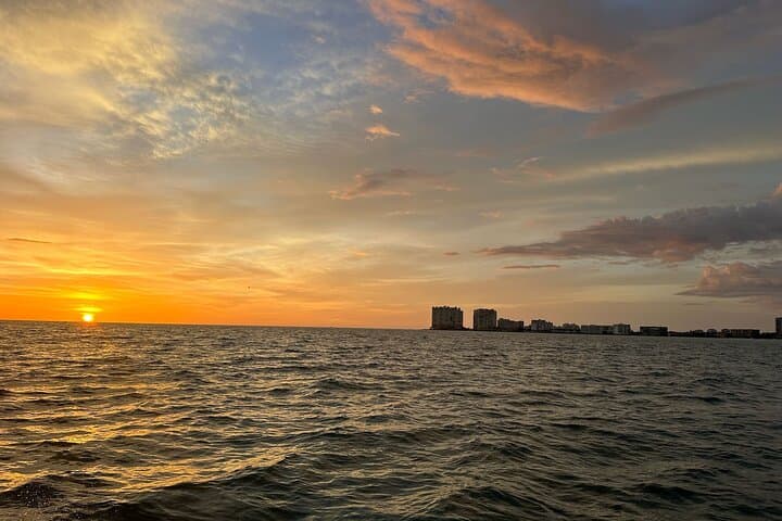 Keewaydin Island Shelling and Dolphin Tour — Naples Boat Trip Guide photo 6