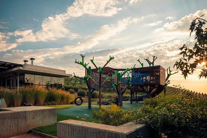 Stellenbosch Wine Walk: Tokara, Thelema & Zorgvliet Tasting Tour photo 4