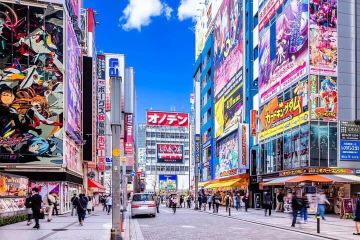 Private 10-Hour Tokyo Tour: Imperial Palace, Skytree & Akihabara photo 3
