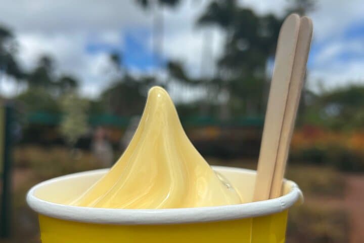 Escape Waikīkī to Oahu's North Shore: Dole Whip, Turtles & Local Eats photo 5