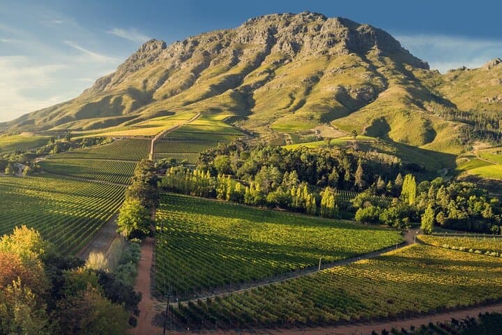 Stellenbosch Wine Walk: Tokara, Thelema & Zorgvliet Tasting Tour photo 1