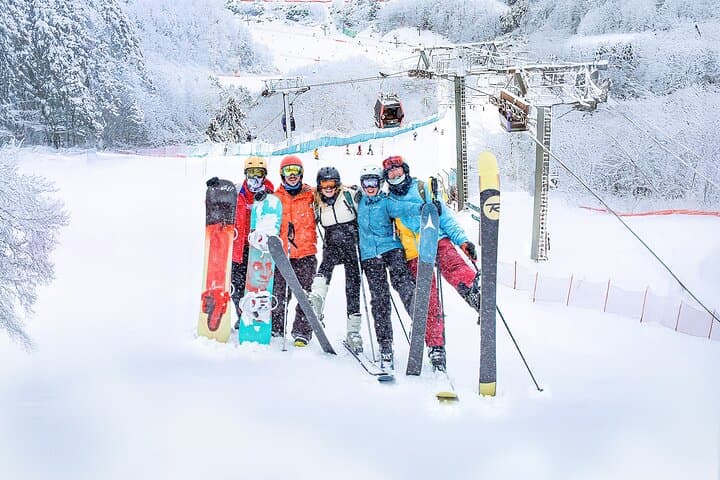 Vivaldi Park Ski Day Trip from Seoul — Gondolas, Slopes & Snowyland