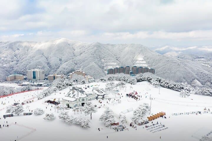Vivaldi Park Ski Day Trip from Seoul — Gondolas, Slopes & Snowyland photo 4