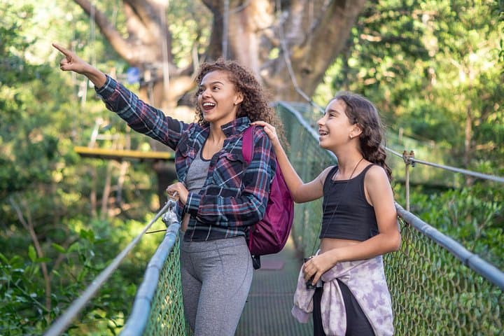 Rincón de la Vieja Hanging Bridges Canopy Walk — 16 Bridges Above the Rainforest photo 2