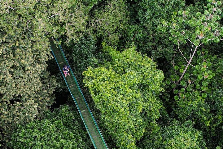Rincón de la Vieja Hanging Bridges Canopy Walk — 16 Bridges Above the Rainforest photo 3