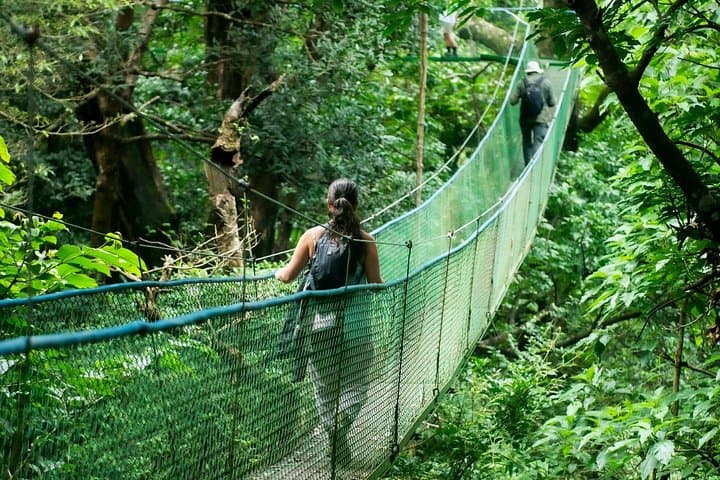 Rincón de la Vieja Hanging Bridges Canopy Walk — 16 Bridges Above the Rainforest photo 4