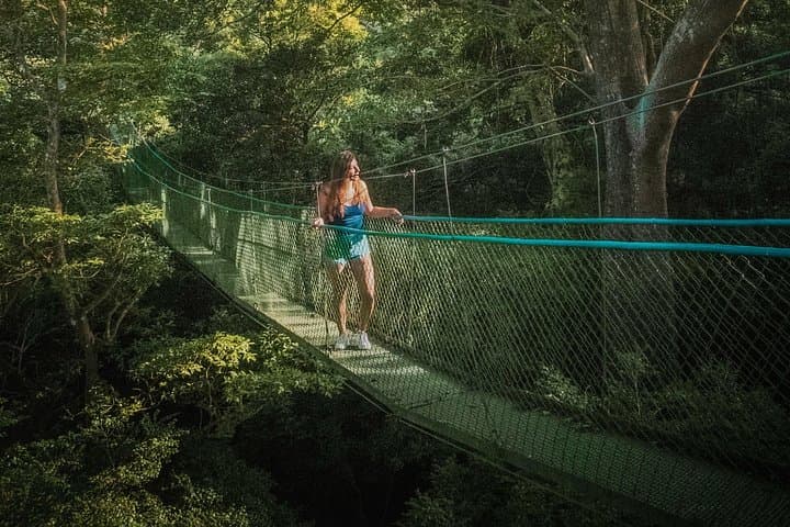 Rincón de la Vieja Hanging Bridges Canopy Walk — 16 Bridges Above the Rainforest photo 1