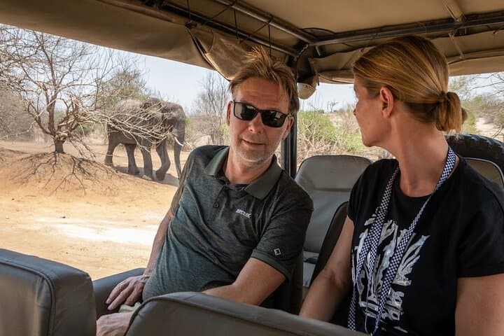 Chobe National Park Game Drive — Rivers, Elephants & Big Game from Kasane photo 5
