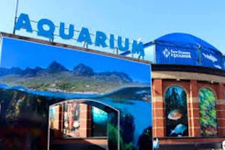 Robben Island and Two Oceans Aquarium Full-Day Tour from Cape Town photo 5