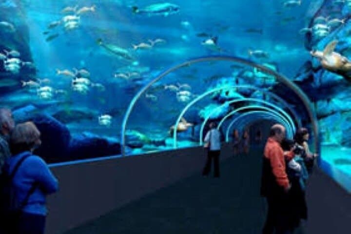 Robben Island and Two Oceans Aquarium Full-Day Tour from Cape Town photo 6