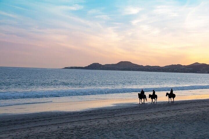 Horseback Ride Along Nabq Bay Beach — Sharm El Sheikh Coastal Riding photo 4