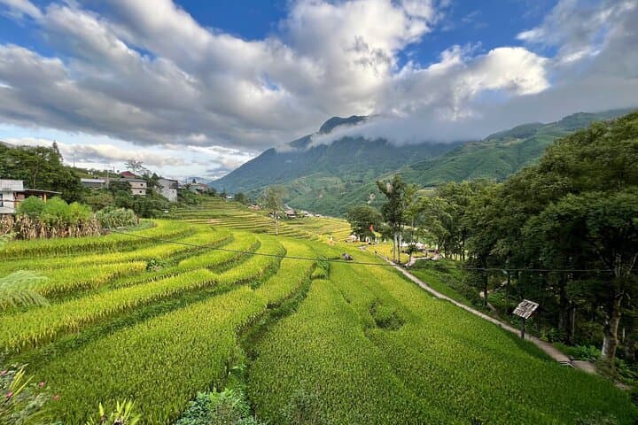 3-Day Ta Van Trek: Homestay Trekking through Muong Hoa Valley photo 1
