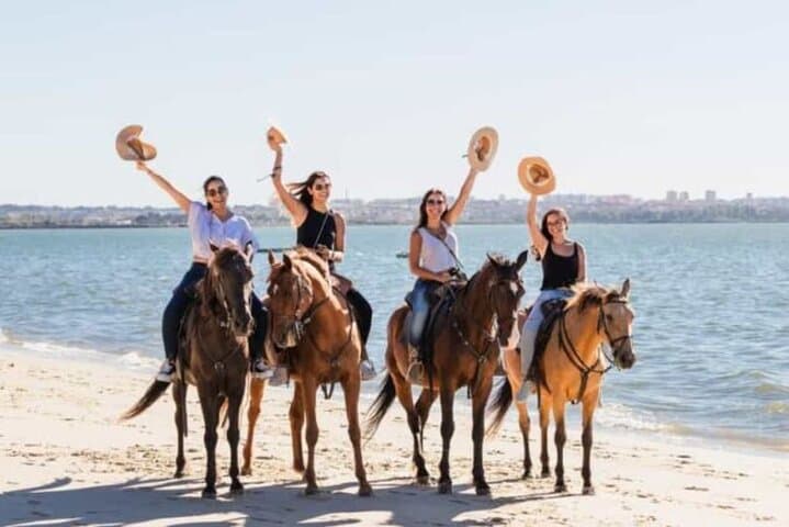 Horseback Ride Along Nabq Bay Beach — Sharm El Sheikh Coastal Riding