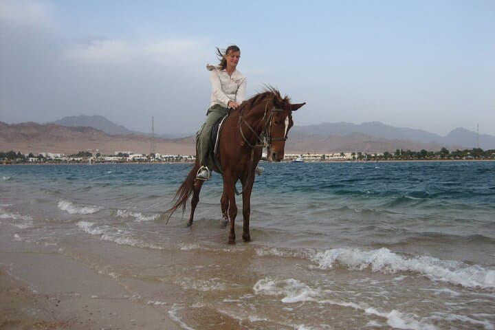 Beach Horse Ride at Nabq Bay: 1-Hour Guided Ride with Transfers in Sharm El Sheikh photo 3
