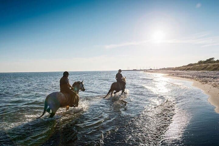 Horseback Ride Along Nabq Bay Beach — Sharm El Sheikh Coastal Riding photo 2