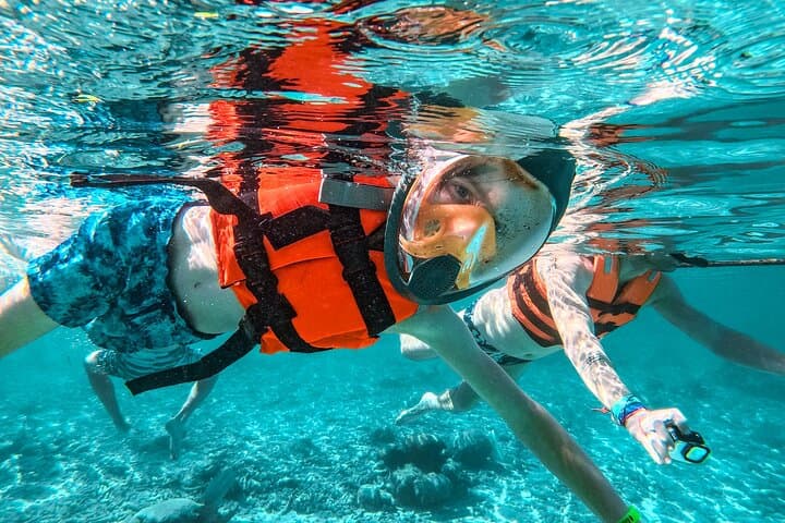 Swim with Sea Turtles in Akumal Bay — Guided Snorkel in Tsuuk Akumal photo 3