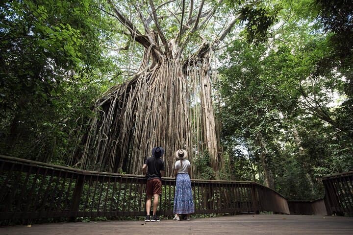 Brisbane to Cairns: 7-Day Boutique Whitsundays & Great Barrier Reef Adventure photo 3