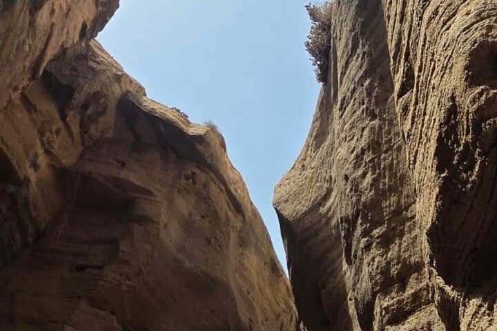 Agadir Dunes at Sunset — Sandboarding, Camel Rides & Beachside BBQ photo 3