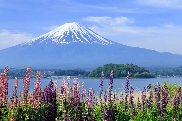 Mt Fuji Day Trip: Arakurayama Sengen, Lake Kawaguchi & Iconic Lawson Stops photo 1