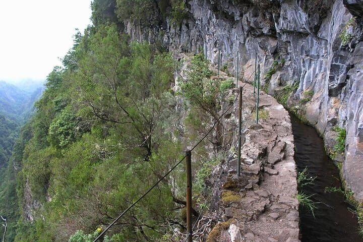 Caldeirão Verde Self-Guided Hike from Queimadas — Transfer, Tunnels and Laurissilva Trails photo 3