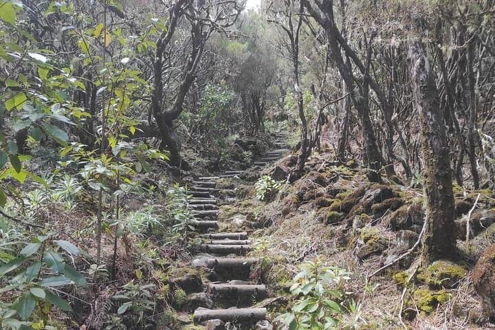Caldeirão Verde Self-Guided Hike from Queimadas — Transfer, Tunnels and Laurissilva Trails photo 5