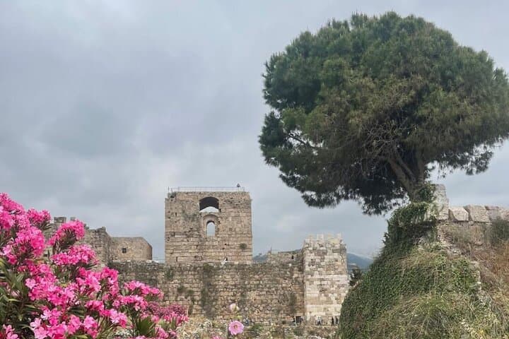 Full-Day Lebanon Coastal & Cave Tour — Byblos, Batroun, Jeita Grotto & Harissa photo 3