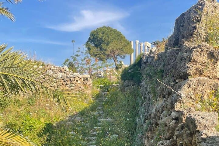 Full-Day Lebanon Coastal & Cave Tour — Byblos, Batroun, Jeita Grotto & Harissa