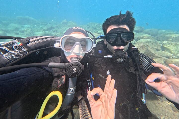 Try Dive by Boat in Puerto Colón — Beginner Scuba in Costa Adeje photo 6