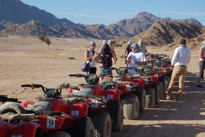 Sinai Dual-Thrill: Horseback Ride and ATV Quad Safari from Sharm El Sheikh photo 2
