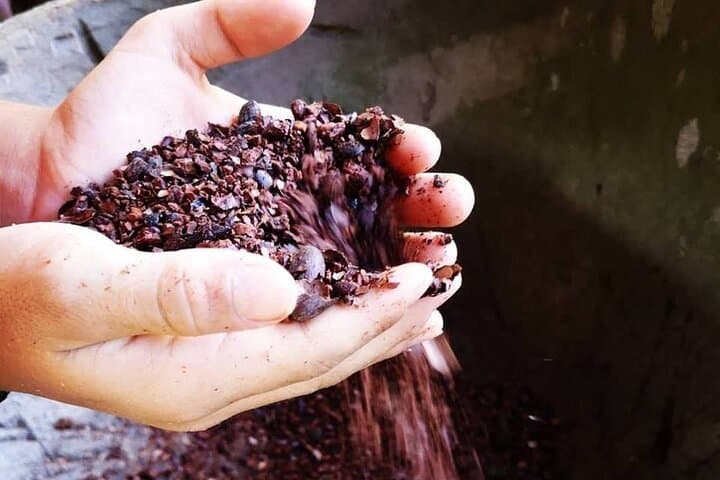 Quepos Chocolate & Wildlife Expedition: Cacao, Coffee and Sugarcane Tour Near Manuel Antonio photo 2