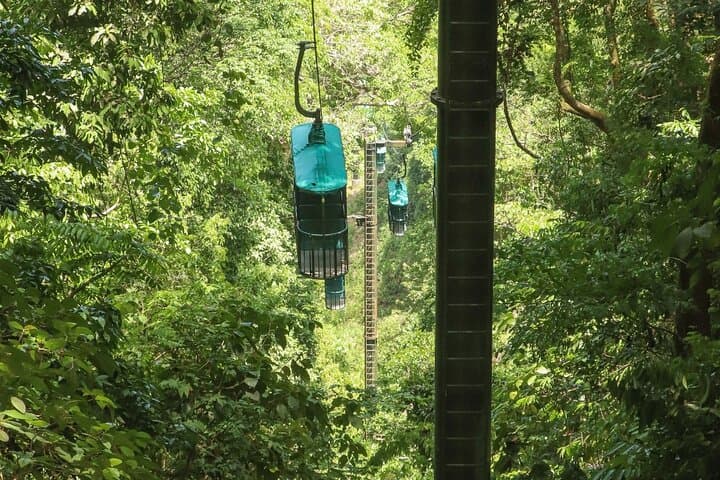 Jacó Rainforest Aerial Tram: Canopy Views, Butterfly & Medicinal Gardens photo 2