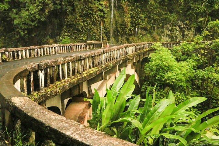 Private Hana Highway Highlights: Half-Day Road to Hana Tour from Kahului photo 4