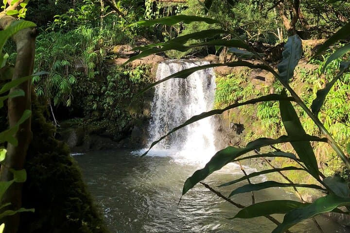 Private Hana Highway Highlights: Half-Day Road to Hana Tour from Kahului photo 6