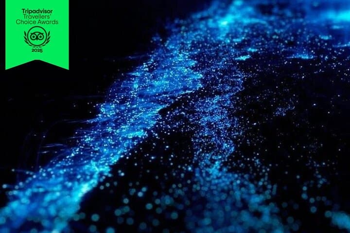 Puntarenas to Isla San Lucas Bioluminescence Cruise