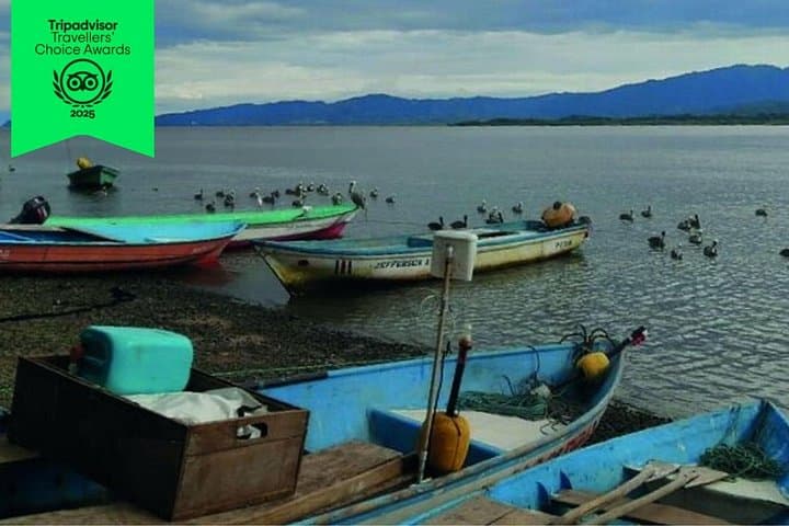 Explore Venado Island: Cultural Bus Tour, Dolphin Watching & Floating Restaurant from Puntarenas