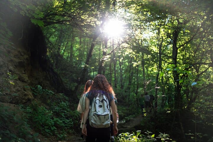 Inner Journey on the Soaring Eagles Trail: Guided Hike to Haghartsin Monastery photo 3