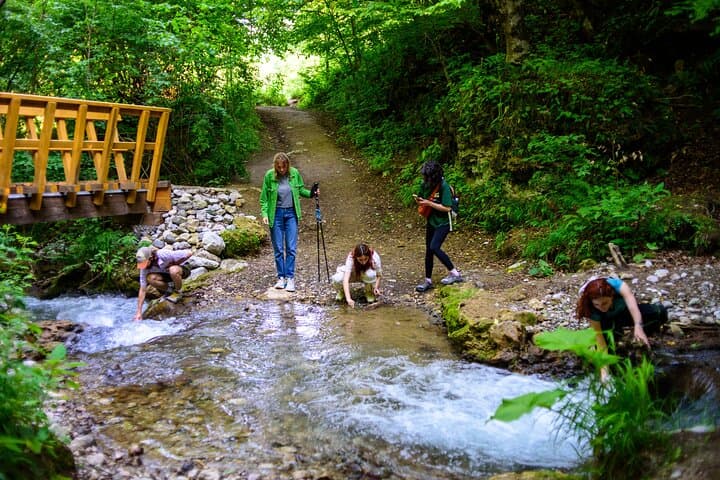 Inner Journey on the Soaring Eagles Trail: Guided Hike to Haghartsin Monastery photo 2