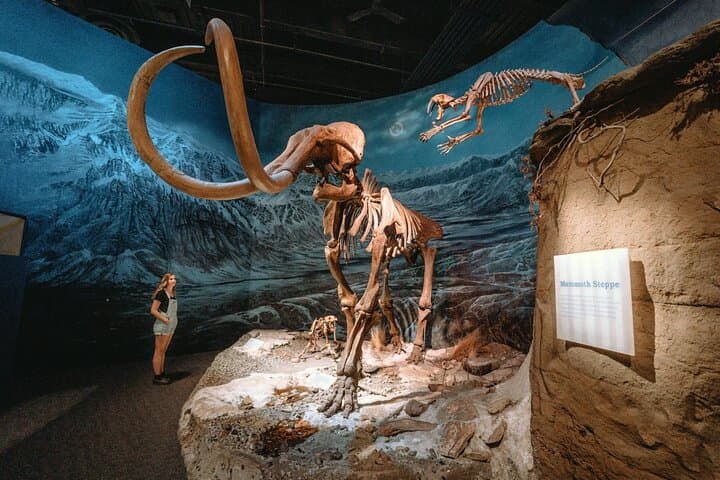 Day Trip from Calgary to Drumheller: Dinosaurs, Hoodoos & Horseshoe Canyon