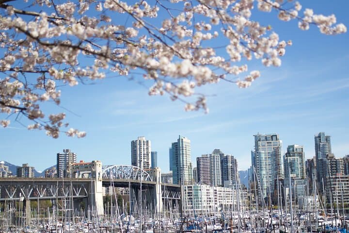 Vancouver to the Rockies: 9-Day Spring Premium Tour through Banff, Yoho & Radium photo 3