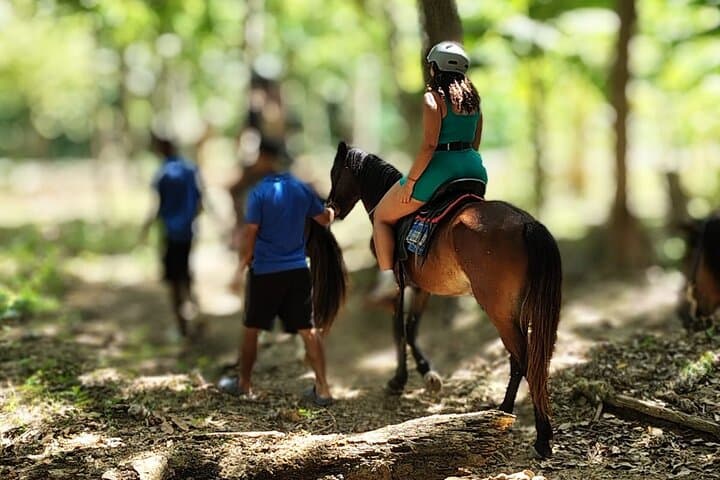 Roatán Jungle Horseback Riding and Luna Beach Escape photo 5