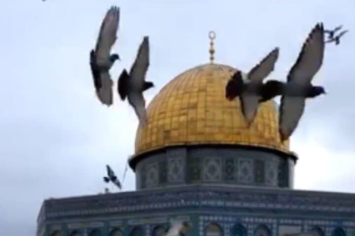Jerusalem and Bethlehem: Private Full-Day Historical Tour from Amman or the Dead Sea photo 5