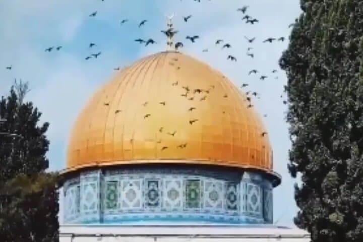 Jerusalem and Bethlehem: Private Full-Day Historical Tour from Amman or the Dead Sea photo 2