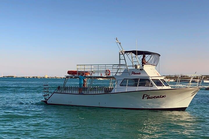 Discover Scuba Diving in Key West: Your First Dive into an Underwater Adventure photo 6