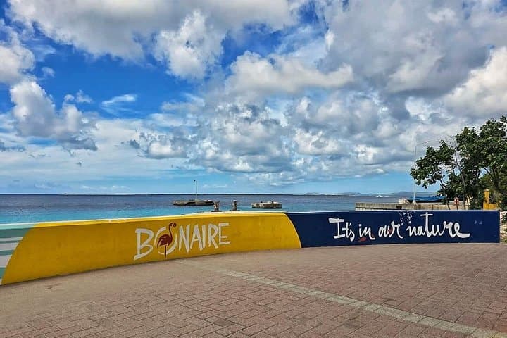 Bonaire City Tour with CHUBATU: Kralendijk Highlights & Salt Ponds photo 3