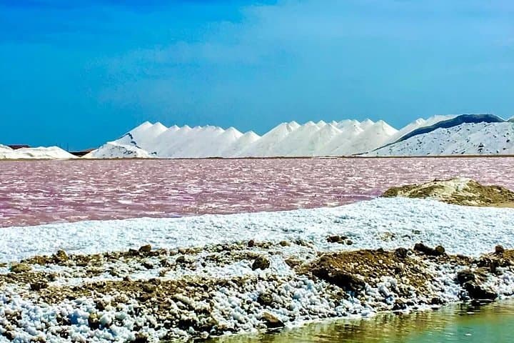 Bonaire City Tour with CHUBATU: Kralendijk Highlights & Salt Ponds photo 4