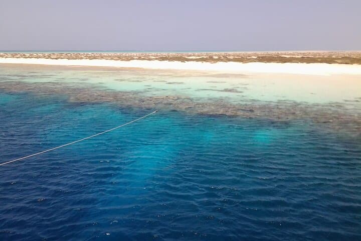 Hamata Islands Full-Day Snorkel & Birdwatching from Marsa Alam photo 4