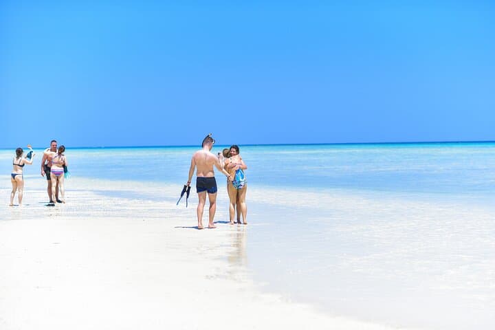 Hamata Islands Full-Day Snorkel & Birdwatching from Marsa Alam photo 5
