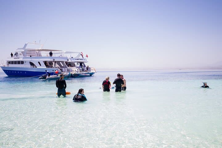 Hamata Islands Full-Day Snorkel & Birdwatching from Marsa Alam photo 6