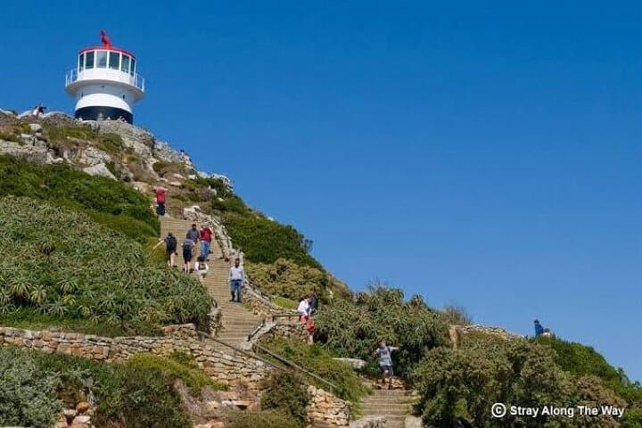 Cape Point & Boulders Beach Penguins Full-Day Tour from Cape Town photo 2