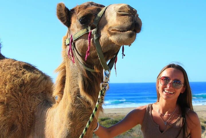 Camel Ride on Migrino Beach: Private Small-Group Coastal Adventure in Cabo photo 4